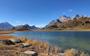 Lac Lai da Vons