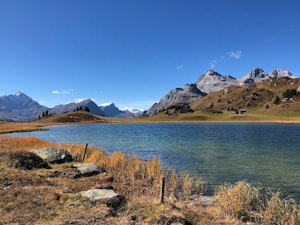 Lac Lai da Vons

