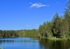 Étang de la Gruère
