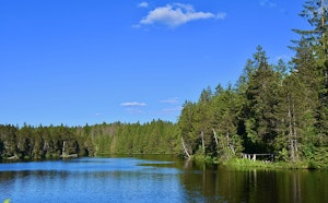 Étang de la Gruère