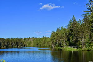 Étang de la Gruère