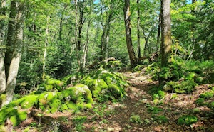 Grottes de Réclère