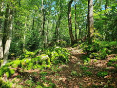 Grottes de Réclère
