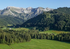 Rosenboden