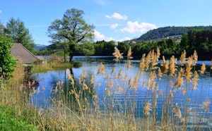 Rotsee