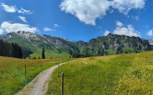 Feldmoos from Engelberg