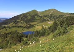 Fürstein from Glaubenberg