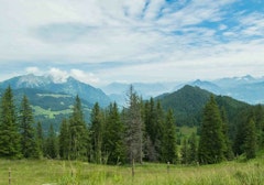 Jänzi panoramic trail