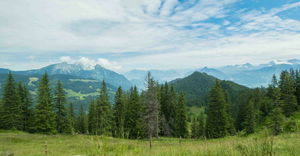 Jänzi panoramic trail