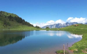 From Tannenboden to Maschgenkamm