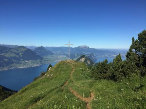 Rigi Hochflue