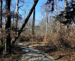 Around Sankt Katharinen