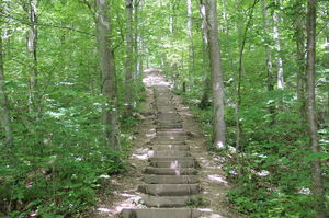 Born via 1000er Stägli