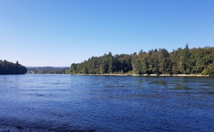 Le long du Rhin