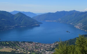 Cardada