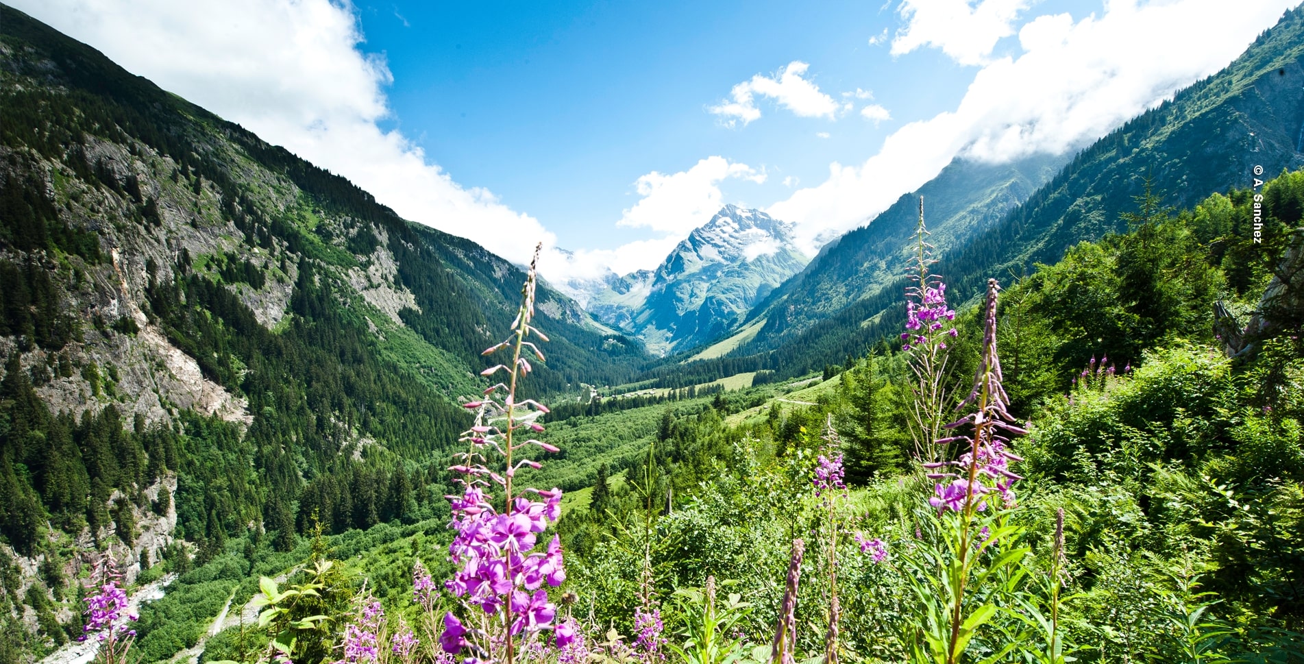 Maderanertal