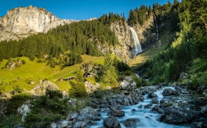 Stäubifall