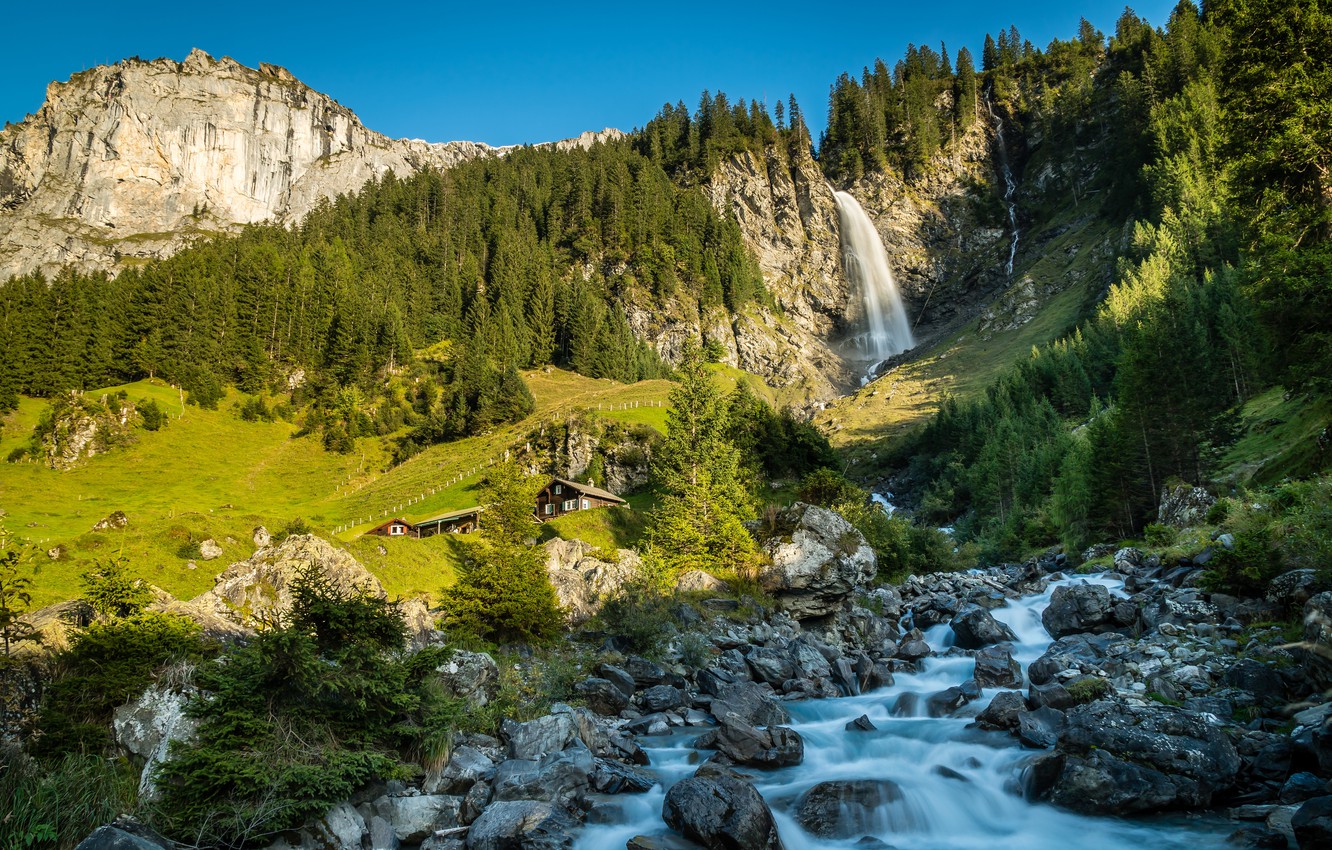 Stäubifall