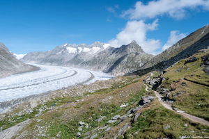 Aletsch Glacier