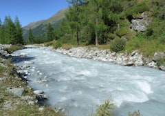 Along the Navisence
