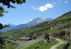 Bisse de Clavau