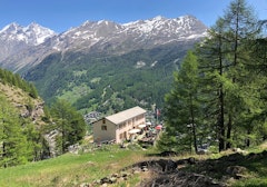 Edelweiss short loop