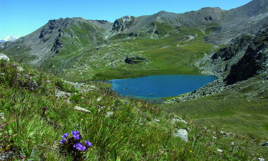 From Cabane des Becs de Bosson to Nax