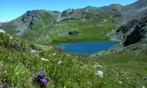 De la cabane des Becs de Bosson à Nax