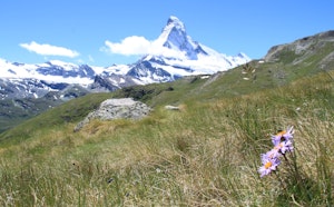 Longue boucle d'Edelweiss