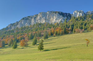 Aiguilles de Baulmes