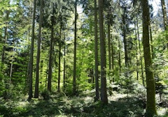 Around Chalet-à-Gobet