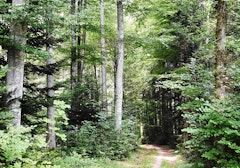 Around Froideville