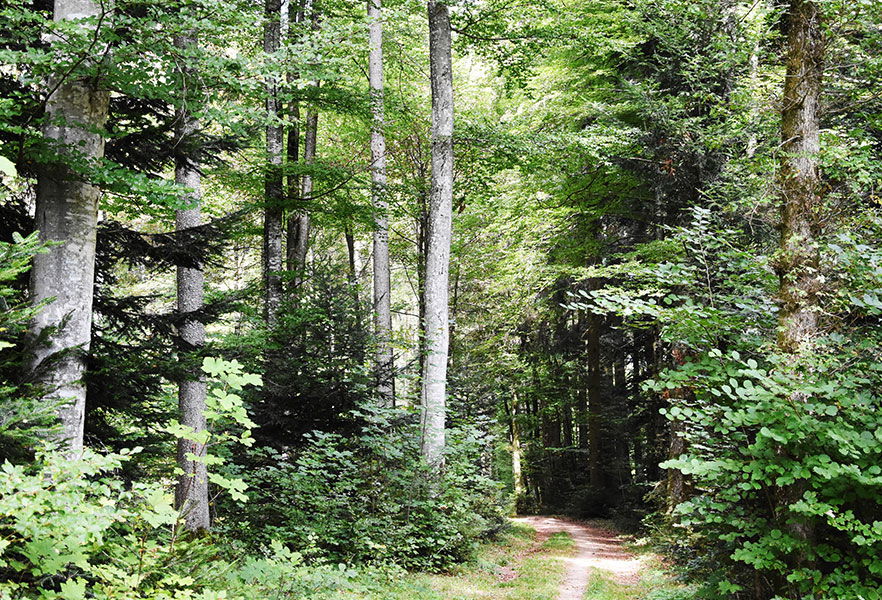 Autour de Froideville Randonnée Hika