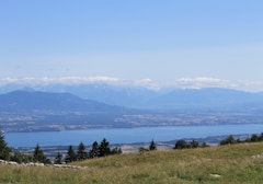 Fruitières de Nyon