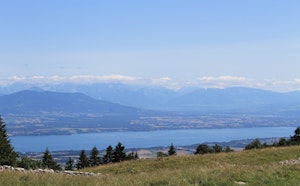 Fruitières de Nyon