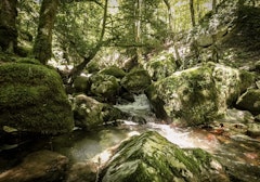 Gorges de Covatannaz