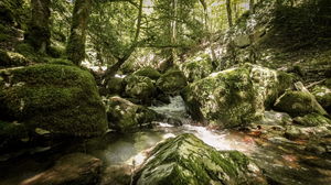 Gorges de Covatannaz