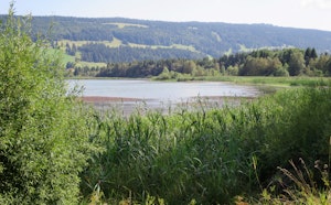 Lac de Joux