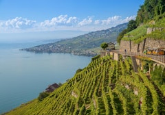 Lavaux Terraces