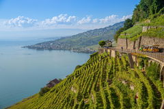 Lavaux Terraces