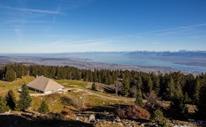 Mont Tendre