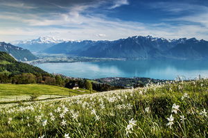 Sentier des Narcisses