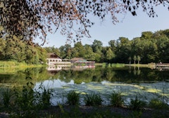 Forêt de Sauvabelin