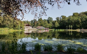 Forêt de Sauvabelin