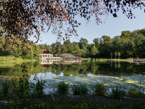 Forêt de Sauvabelin