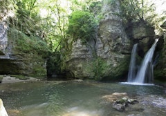 Tine de Conflens
