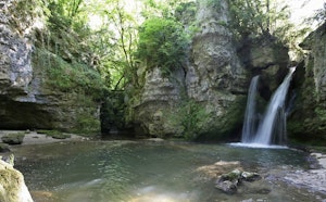 Tine de Conflens