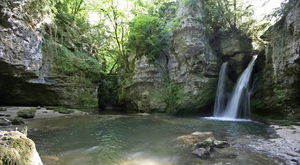 Tine de Conflens