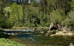 Along the Sihl