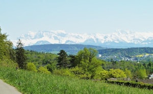 Adlisberg